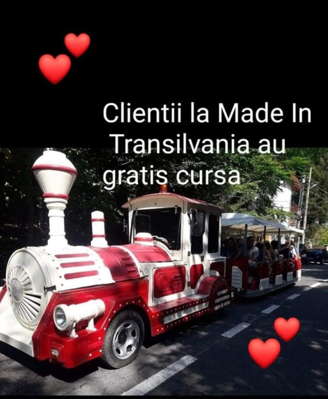 Made In Transilvania Σιγκισοάρα Εξωτερικό φωτογραφία